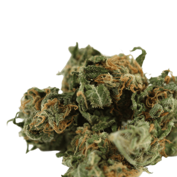 A green Delta 8 marijuana flower on a white background.