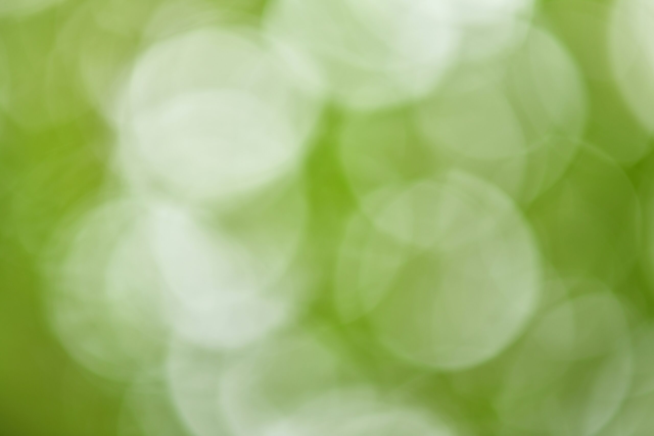 Abstract green bokeh background formed by out-of-focus light circles in a natural setting.