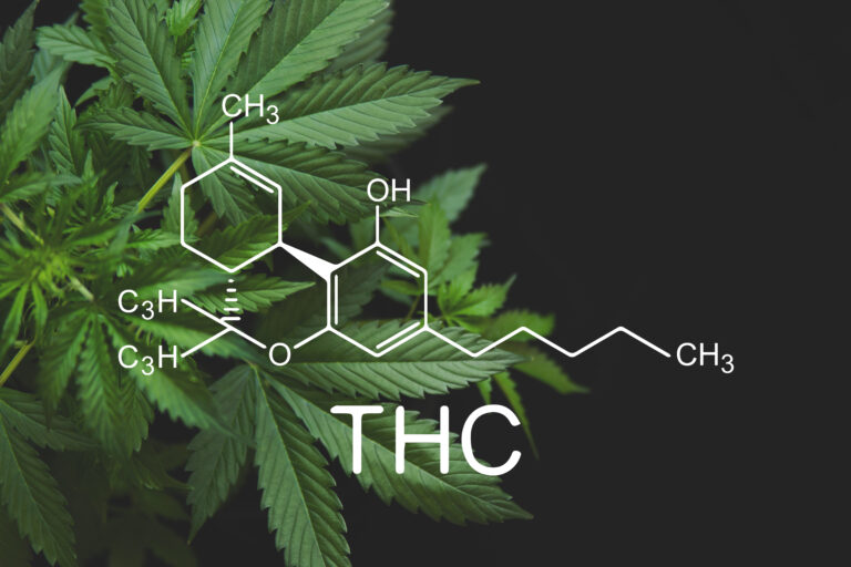 Cannabis leaves with a superimposed molecular structure of THCA, the precursor to THC which is the main psychoactive compound in marijuana, against a dark background.