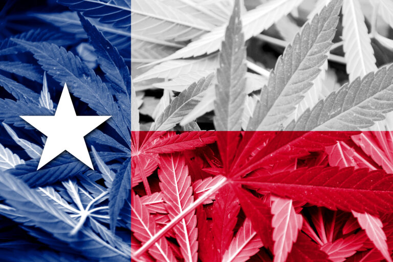 Cannabis leaves artistically arranged in the pattern of the Texas state flag, prompting discussion on the legal status of THCA in the state of Texas.